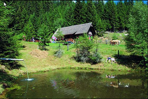 Готель Panoramadorf Saualpe Eberstein Екстер'єр фото